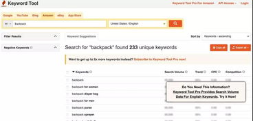 策略一：低价策略