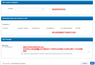 二、 成功注册Cdiscount的策略和注意事项