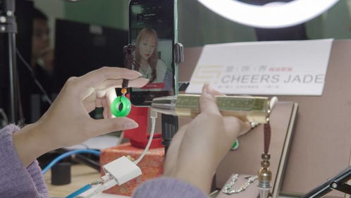 谨慎价格过低的产品