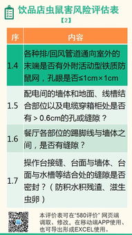 定期评估与检查：长期跟进与风险防范