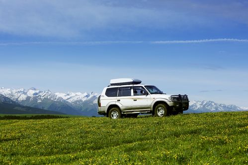 飞猪用车业务负责人张烨的观点