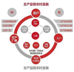 活动背景与概述