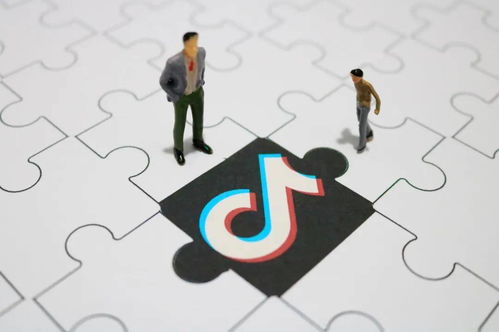 运营模式的差异