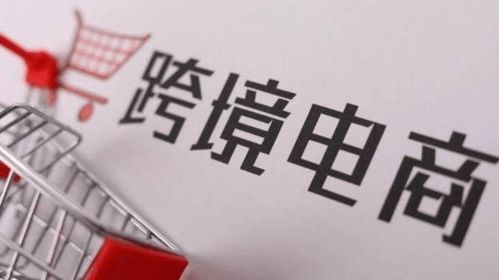 社交媒体营销在跨境电商中的实际应用效果评估