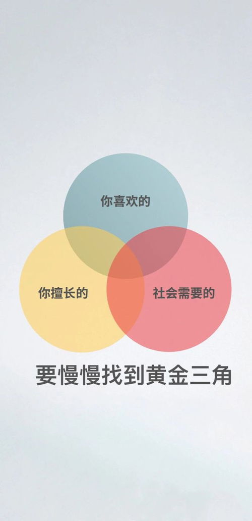 二、 发布作品：多样化的内容创作与盈利途径