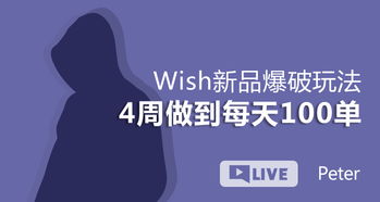 Wish平台上商家的主要推广方式有哪些