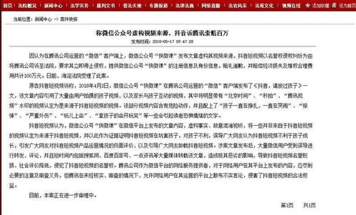 七、 投诉人责任