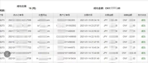 五、仿牌独立站的运营与风险