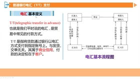 向导作用的传递信息