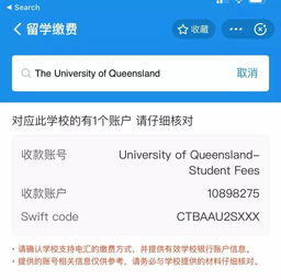 支付方式选择：汇率与货币转换费的考量