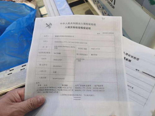 二、 记名提单与无单放货