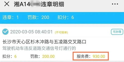 菜鸟超级经济的收费情况