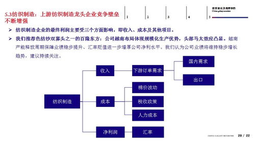 SHEIN定价策略的多维度考量