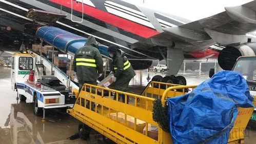 装卸设备升级带来的效率提升