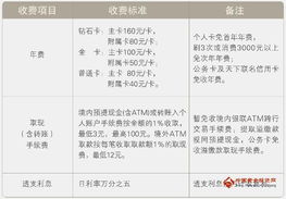 收费情况详解