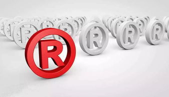 一、美国商标审查意见答复时间