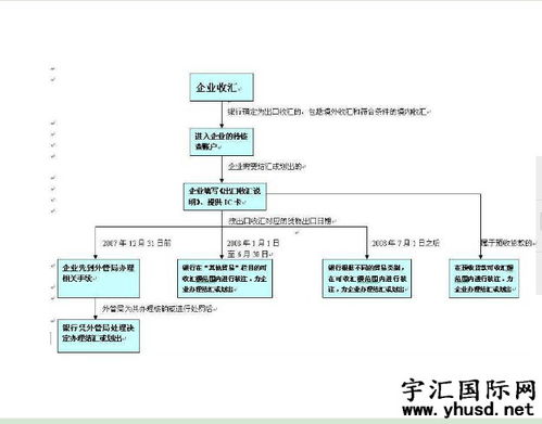 一、 外汇结汇额度概述