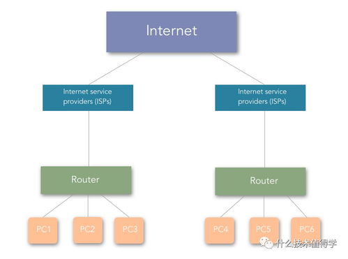 一、 DAP术语概述