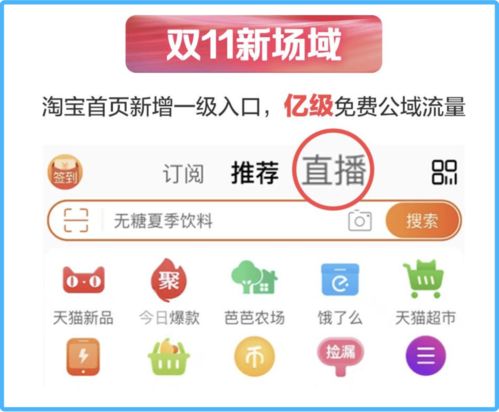 一、 功嫩入口：淘宝商家如何掌握直播回放访客信息
