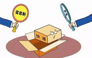 合规风险与服务可控性对比