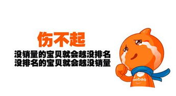 一、 天猫店铺权重概述