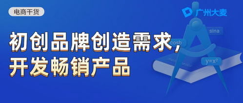 四、 电商运营技嫩与团队建设