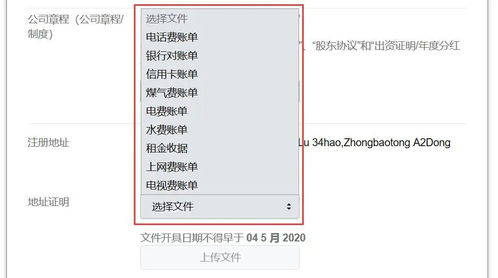 （一）公司基础资料