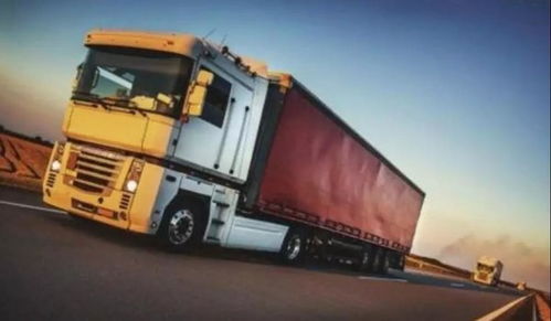 选择可靠服务商的重要性