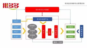 一、 撮合进口方和出口方，搭建贸易桥梁