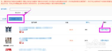 二、 淘宝贝琪旗舰店：网购达人的宝藏店铺，购物新体验