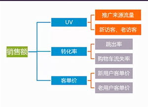 1. 数据收集与分析