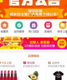 二、季节性商品推广策略