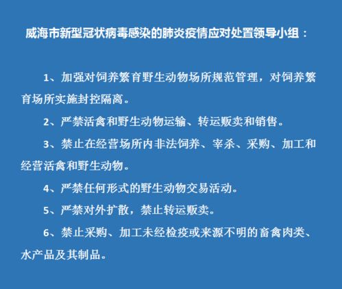 活牛运输的特殊性与法规要求