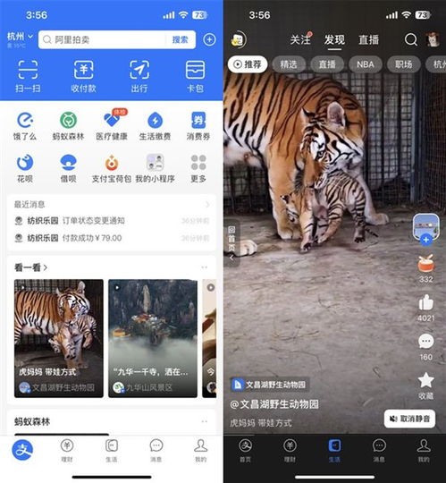 生活号动态：支付宝首页的新鲜血液