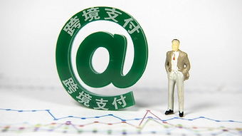 跨境支付背景下的资金链路透明度要求