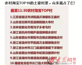 农村经济的转型与挑战