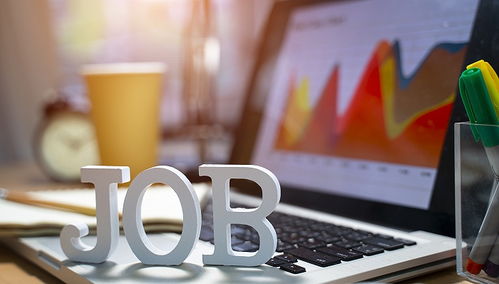 年轻人的洞察力与创造力：冷门职业的诞生