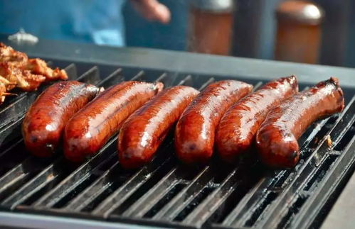 一、烧烤鼓风机：夏季烧烤的得力助手