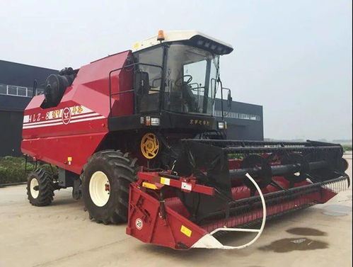 1. 品牌溢价收割机