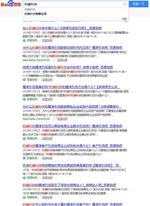 二、 独立站运营经验分享