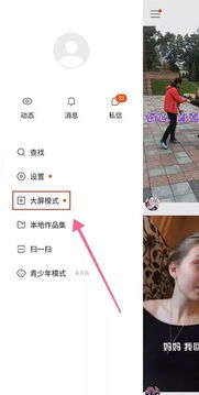 1. 开启大屏模式