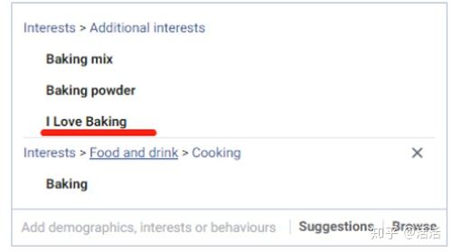 十一、 创建广告计划：设置广告预算、投放时间、地理位置等