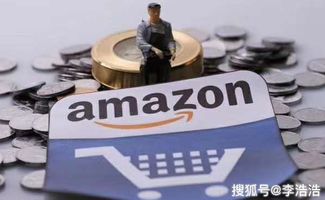 亚马逊流量高峰期解析