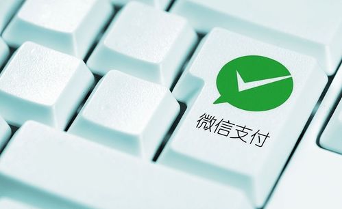 自动扣费授权：确保常规扣款顺利进行