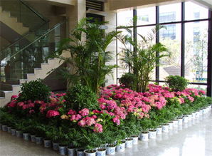 3. 鲜花园艺新内容引入招募