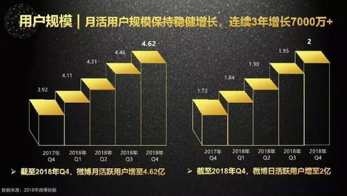 ：数据分析在TikTok营销中的重要性