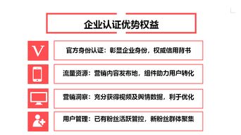 等级号的作用与功嫩