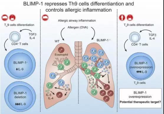 五、 呼吸道病毒细菌12联检服务：多城可用，助力健康检测