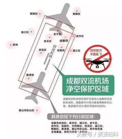 复杂的航空网络：国际航线布局的精细画卷
