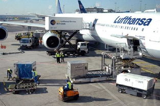 数字化报关系统与人工复核的双重保障